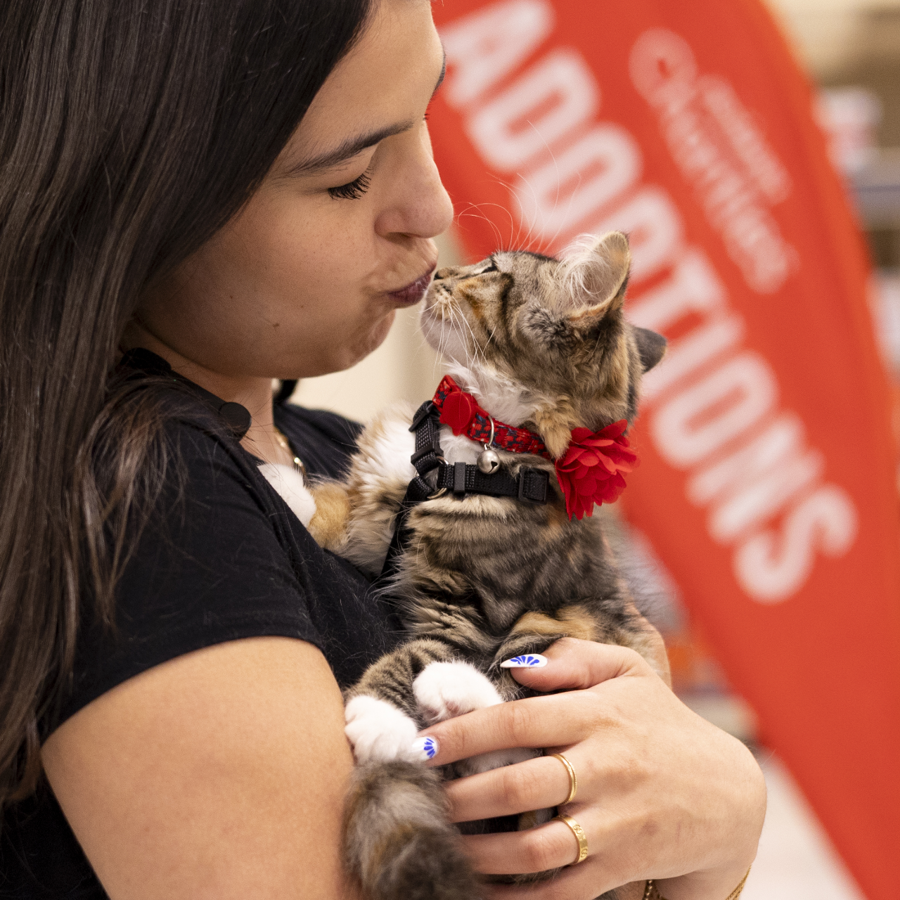 Supporting animal shelters nonprofits near you PetSmart Charities